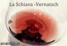schiava-alto-adige-vernasch-giornalevinocibo-home