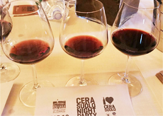 cerasuolo-di-vittoria-night-party-home-2-giornalevinocibo