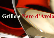 grillo-e-nero-davola-doc-sicilia-giornalevinocibo